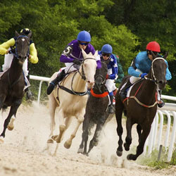 The Best Online Horse Betting Software