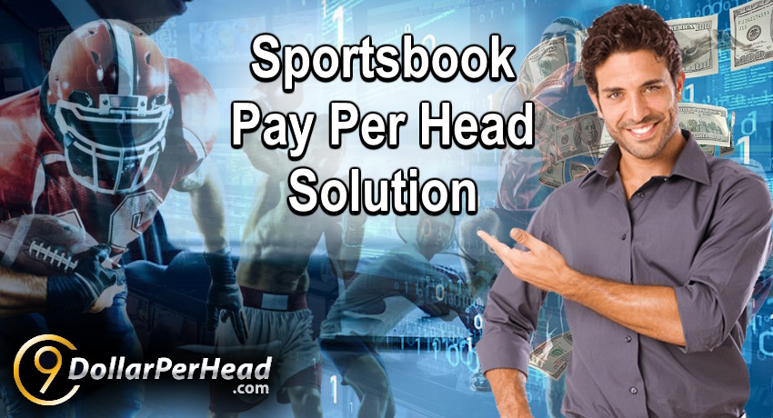 Sportsbook Pay Per Head Solution for Bookies